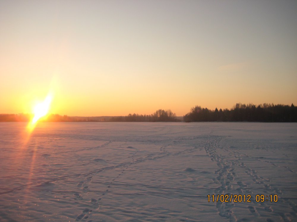 IMG_8890.thumb.JPG.01a3b36e16c473a373fbe0d2c19a12a3.JPG