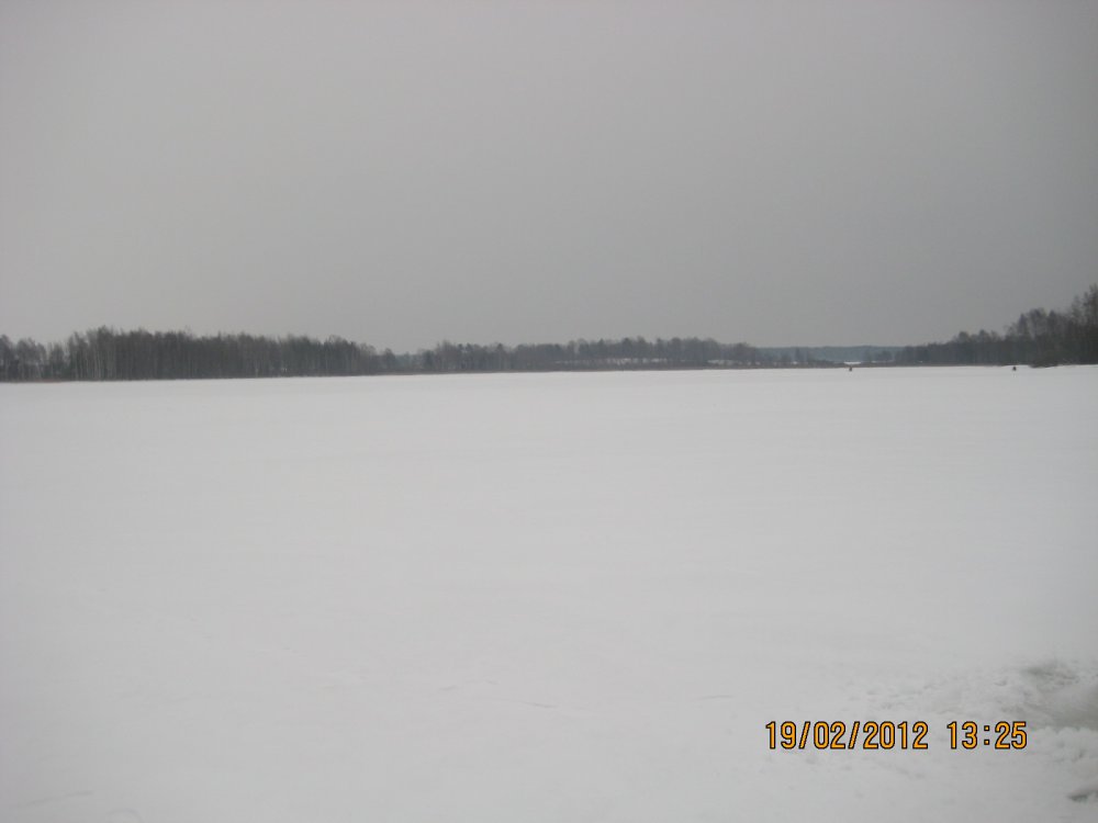 IMG_8952.thumb.JPG.df017bbb17339790e1a3907b06ee7295.JPG