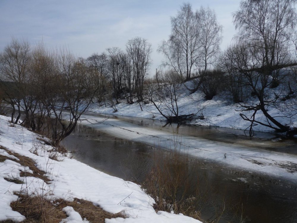 P1010553.thumb.jpg.98c2bdcaa18cc3fe95ac24618a60b0f2.jpg