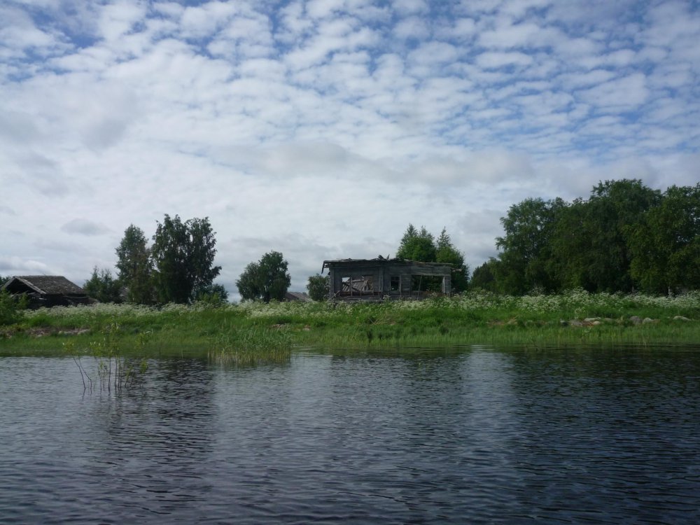 P1010824.thumb.jpg.0f4da75b2c19afd93c7b4f5da358e3da.jpg