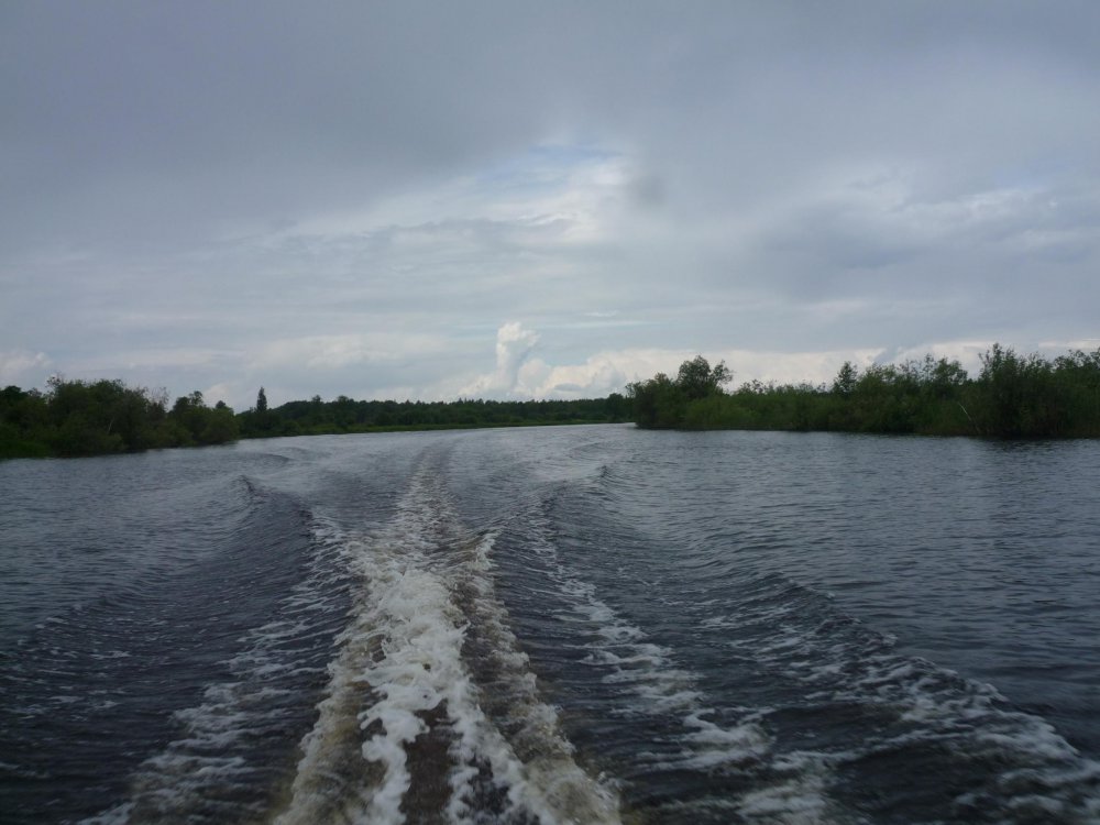 P1010848.thumb.jpg.b8f00e043936bba106cab516738c8595.jpg