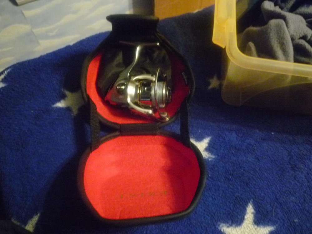 P1020815.thumb.jpg.c60669029f5f8b95e5f77919e2d0f29a.jpg
