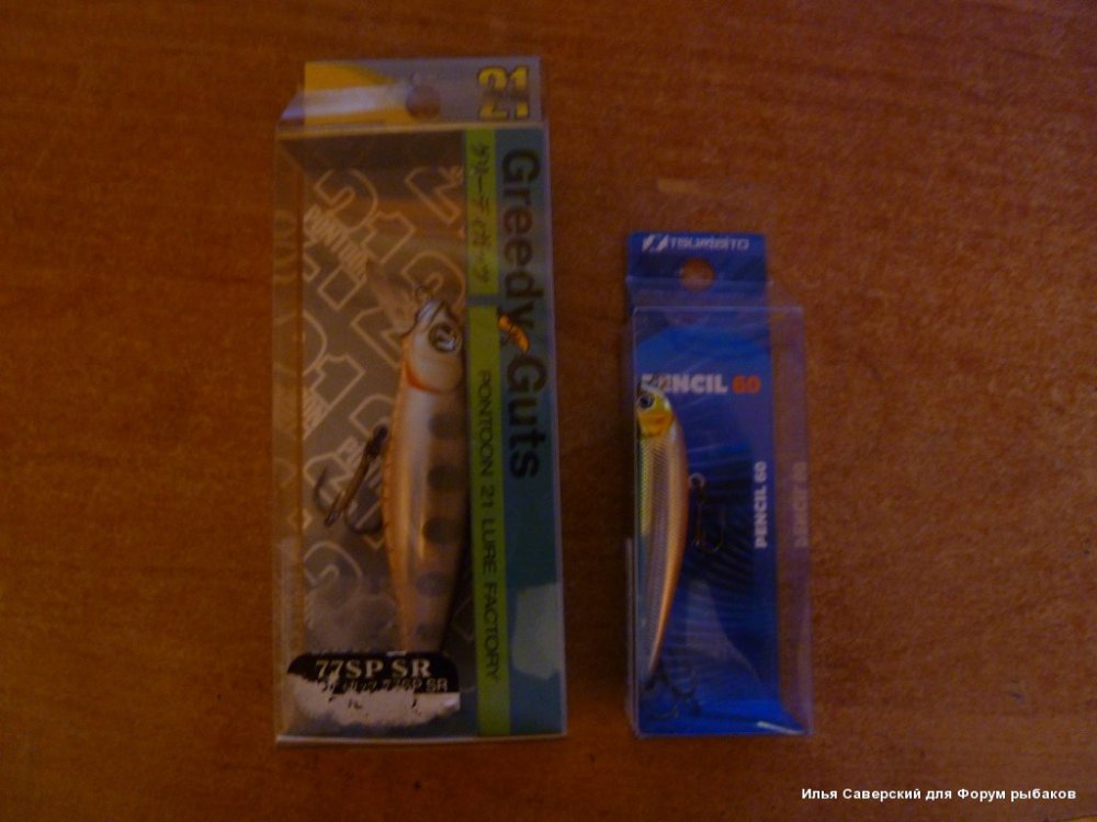 P1020821.thumb.JPG.b35d529a844adc05c0b3853a7d722d05.JPG