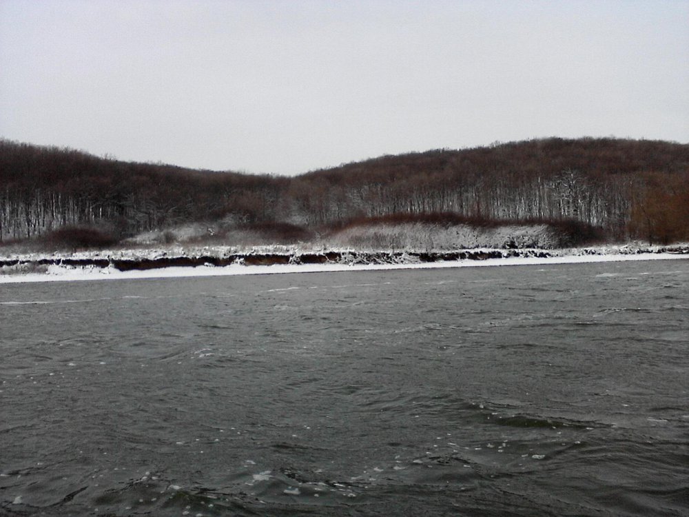 P11-12-10_10_37.thumb.jpg.efbdda878b6621a98cbe97ed22824da2.jpg