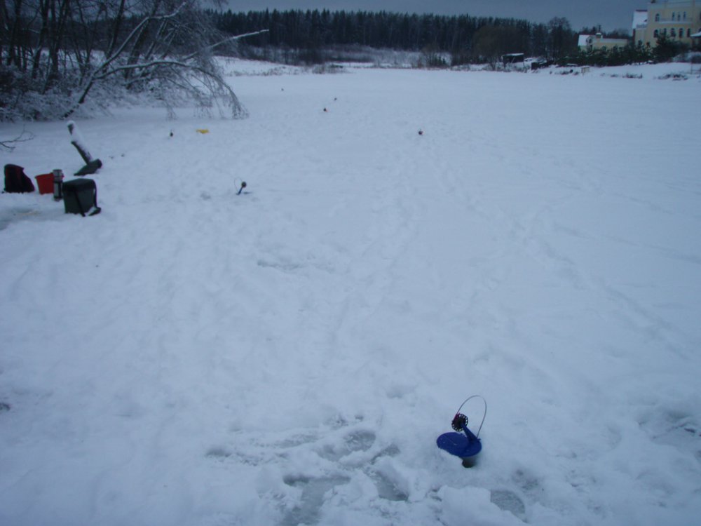 P1100031.thumb.JPG.4bc3f6c5dae4249fb4972fe73674d4bc.JPG