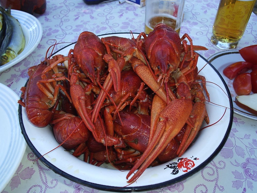 PA182386.thumb.jpg.c007b9ef8ee1f2fbe5a089bd76875341.jpg
