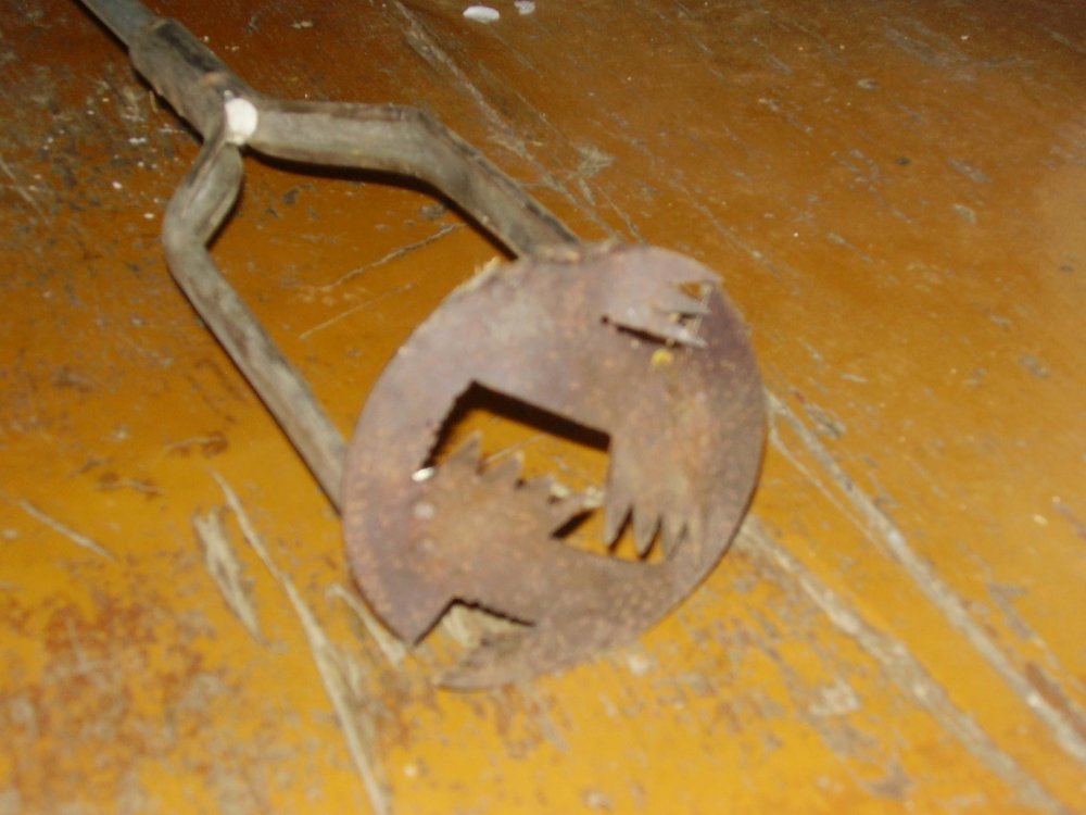PB100110.thumb.jpg.96f065af1d5749d8f9ee82f5cfdb3273.jpg