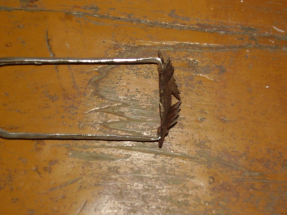 PB100113.thumb.jpg.a3f827f7765b2df75ddfa1dfeedc4ef1.jpg