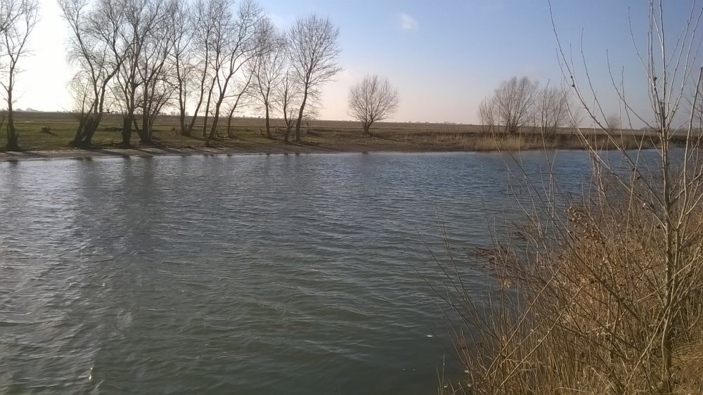 WP_20160131_003.thumb.jpg.5aa5875e81e89d29b034942743a7f9f0.jpg