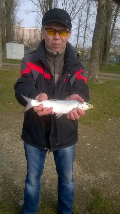 WP_20160217_0041.thumb.jpg.061f7b86bb8ee9cd714ab26774bd8380.jpg