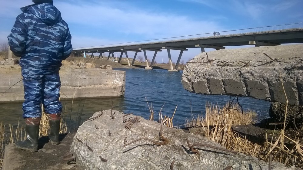 WP_20160223_006.thumb.jpg.02b557402f45af3f4487e232ad22458d.jpg