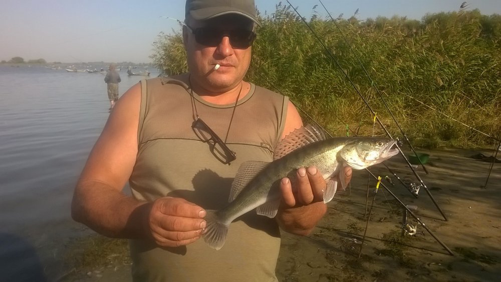 WP_20170916_001.thumb.jpg.a6fd4e985c6b3e907232d5241c7e2435.jpg